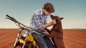 Red Dog: True Blue en streaming