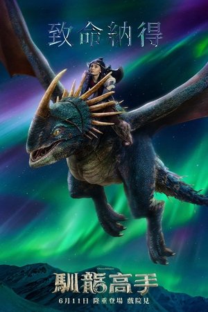 poster How to Train Your Dragon