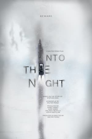 Poster Into the Night (2019)