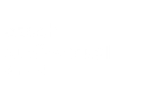 Logo Státní fond audiovize