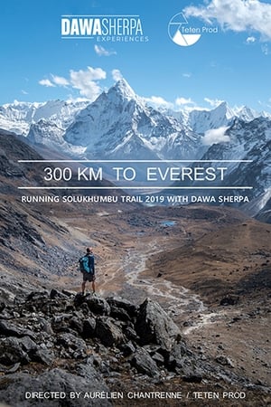 Poster 300 KM TO EVEREST 2020