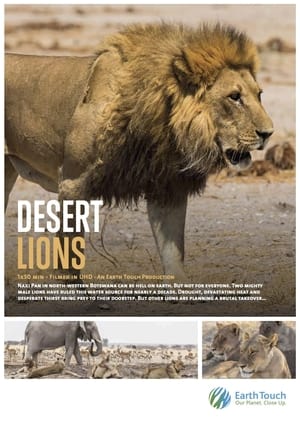 Poster Desert Lions (2017)