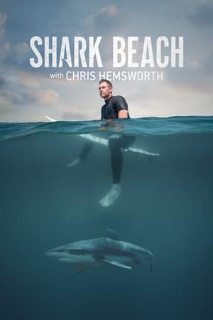 Image Chris Hemsworth na pláži žraloků