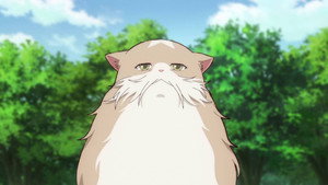 Neko to Ryuu Cap 6
