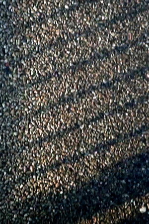 59 20 39 N 18 00 33 E (2015)