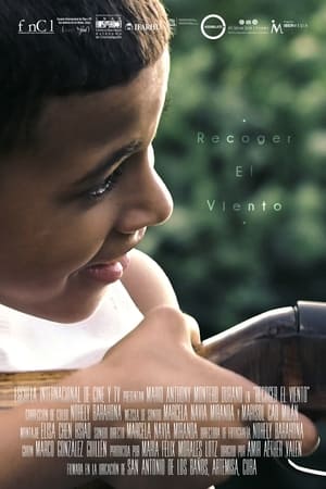 Poster di Recoger El Viento