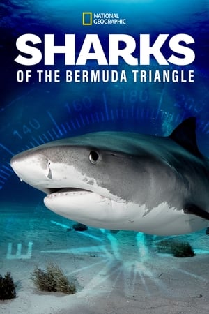Poster Sharks of the Bermuda Triangle 2020