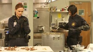 Bones: Stagione 9 – Episodio 10