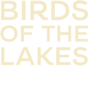 Birds of the Lakes Return