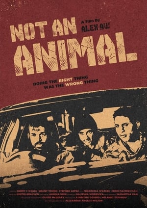 Poster Not An Animal ()