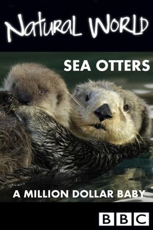 Poster Sea Otters: A Million Dollar Baby 2010