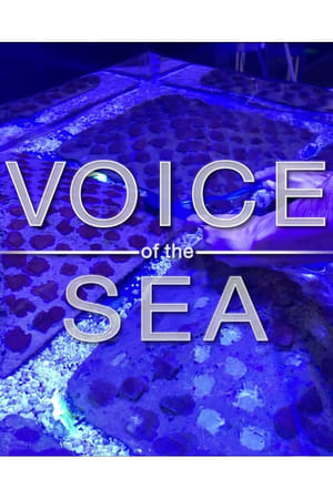 Image Voice of the Sea