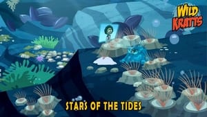 Image Stars of the Tides