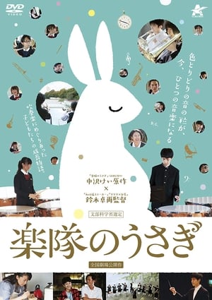 A Band Rabbit and a Boy