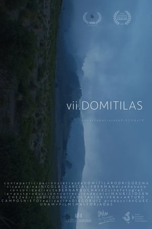 Poster VII Domitilas 2020