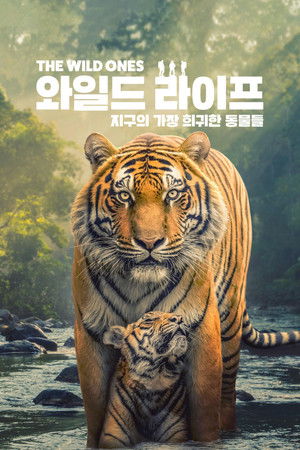 Image '와일드 라이프: 지구의 가장 희귀한 동물들' - The Wild Ones