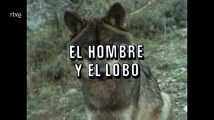 Episode 87