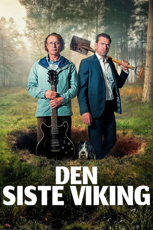poster The Last Viking