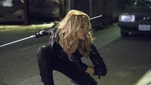 Arrow S02E13