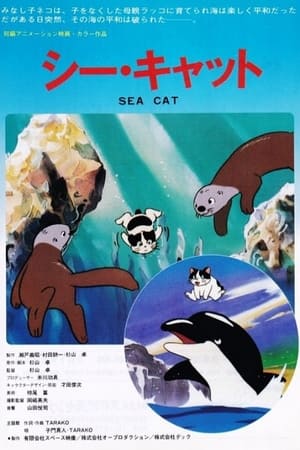 Poster シーキャット 1988