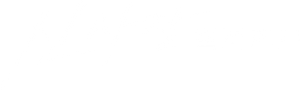 Shin's Project — Logos 4