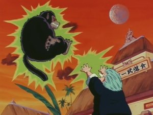 Dragon Ball - Dragon Ball - Saison 1 - Sangoku en pleine crise - image n°5