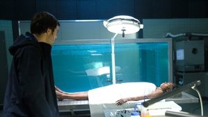 Mysterious Mermaids: 2×14