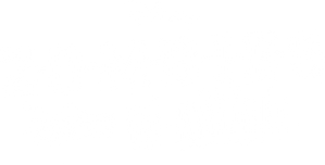 Zombies: The Re-Animated Series