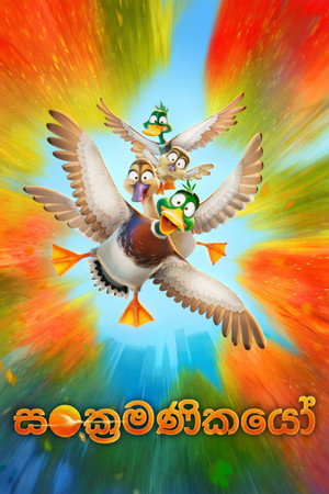 <Images posters