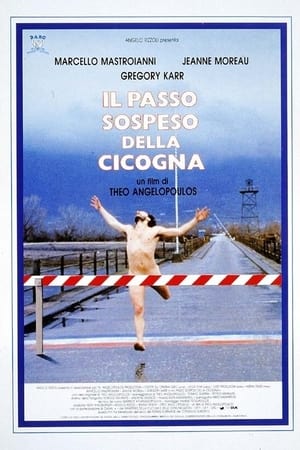 Poster Il passo sospeso della cicogna 1991