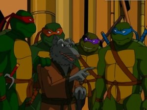 Teenage Mutant Ninja Turtles: 1×1