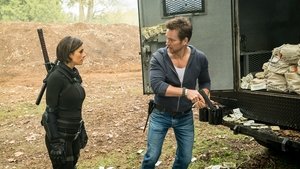 Van Helsing: Stagione 2 x Episodio 9