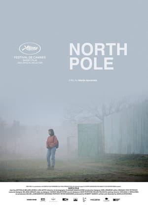 Poster North Pole 2021