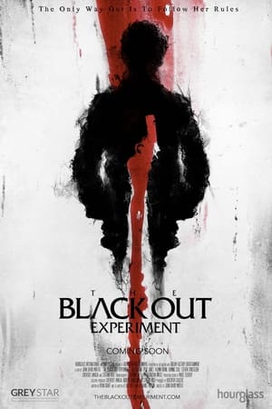  The Blackout Experiment (WEBRIP LD) 2021 