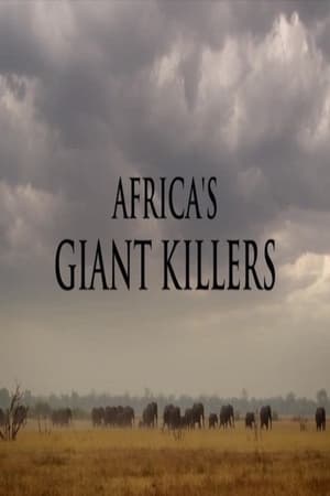 Poster Africa's Giant Killers 2014