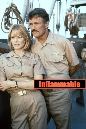 Poster Inflammable 1995