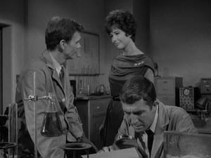 The Outer Limits: 2×8