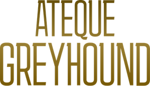 Greyhound Attack — Logos 1