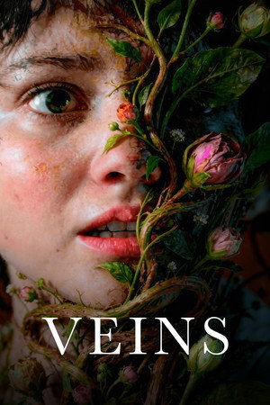 Veins 12