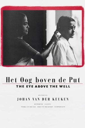 Poster The Eye Above the Well 1988