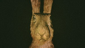 Toy Bunny still 1