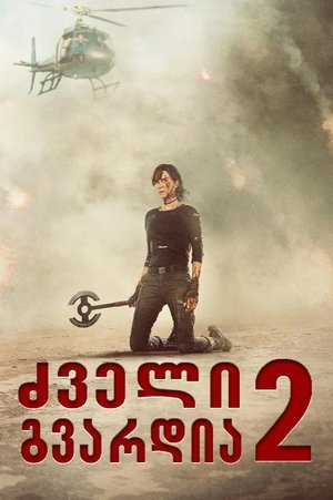 poster The Old Guard 2
