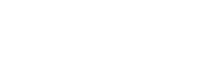 Fast & Furious 8 — Logos 4