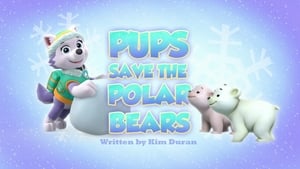 PAW Patrol Pups Save the Polar Bears