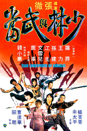 Poster Los dos campeones del Shaolin 1980
