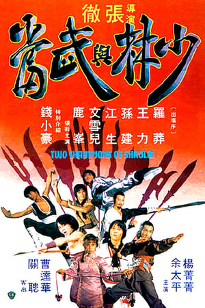 Poster Two Champions Of Shaolin 1980