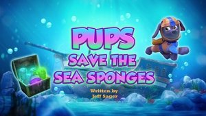 Pups Save the Sea Sponges | StreamHub