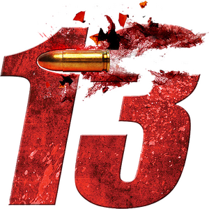 13