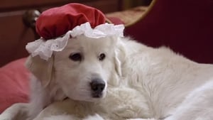 Santa Can 2: Los cachorros de Santa Can (2012)