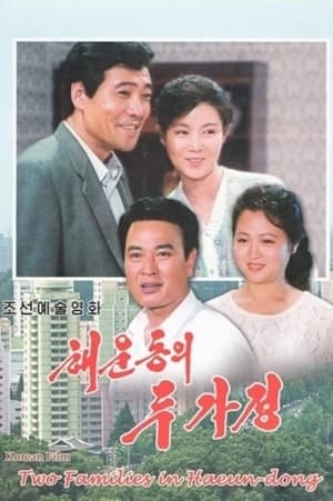 Poster Two Families In Haeun-Dong (1996)